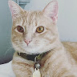 Meet your Posher, Michell